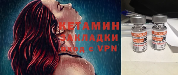 стаф Козловка
