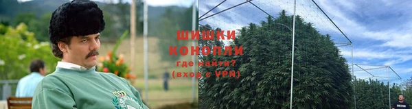 стаф Козловка
