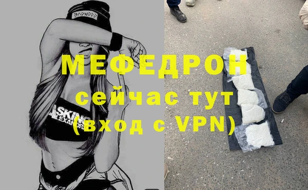 стаф Козловка