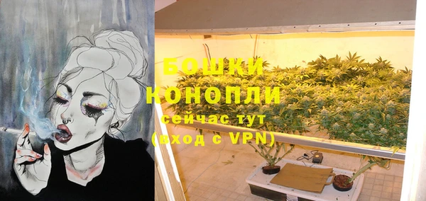 стаф Козловка