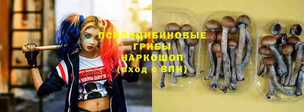 2c-b Кодинск
